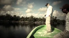 Video thumb for Baby Tarpon in Cozumel 
