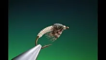 Video thumb for Antron Caddis Larva