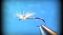 Video thumb for Parachute Dry Fly Techniques