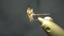Video thumb for Mosquito fly