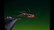 Video thumb for Stone fly nymph