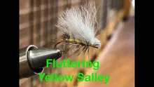 Video thumb for Fluttering Yellow Sally