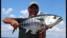 Video thumb for Blue fin tuna heaven