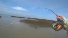 Video thumb for The Texas Gulf