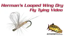 Video thumb for Herman's Looped Wing Dry Fly