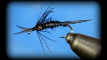 Video thumb for Biot Stonefly Nymph