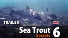 Video thumb for Sea Trout Secrets 6 Fly fishing