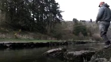 Video thumb for Salmon on the Fly