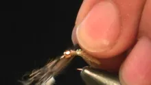 Video thumb for Silvey's Caddis Pupa