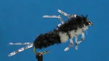 Video thumb for Rubber Leg Stonefly