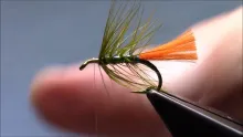 Video thumb for Peacock and Orange Octopus