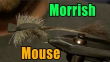 Video thumb for Morrish Mouse