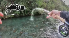 Video thumb for This Micro lure caught all the fish!