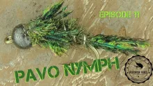 Video thumb for Pavo Nymph