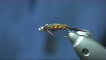 Video thumb for Orange Tellico Nymph