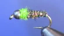 Video thumb for Iced Cased Caddis