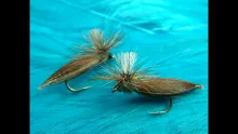 Video thumb for Adams Caddis (Parachute Style)