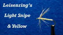 Video thumb for Leisenring’s Light Snipe and Yellow