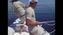 Video thumb for Adriatic tuna
