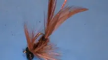 Video thumb for Carp Fly