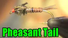 Video thumb for Pheasant Tail Nymph (PTN)