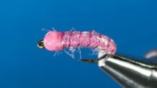 Video thumb for Pink bug
