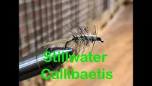 Video thumb for Stillwater Callibaetis