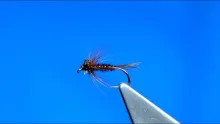 Video thumb for Pheasant Tail Soft Hackle