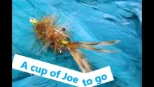 Video thumb for Joe-to-go