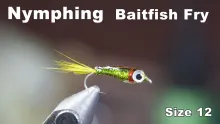 Video thumb for Nymphing Baitfish - Small Fry