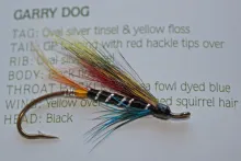 User submitted picture: Gary Dog