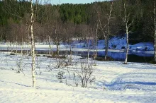 User submitted picture: Winter morning on the riv...