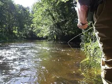 User submitted picture: Presenting a dry in the d...