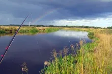 User submitted picture: SkjernÃ a nice salmonrive...