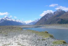 User submitted picture: This is one of the many b...