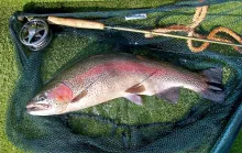 User submitted picture: Dutch reservoirs can prod...