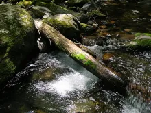 User submitted picture: A Plunge Pool, A Small Br...