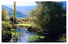 User submitted picture: Is it a dream or .......