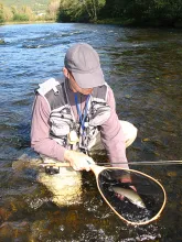 User submitted picture: Grayling season , sunny o...