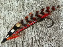 User submitted picture: A Spring Streamer