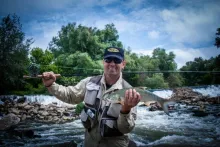 User submitted picture: Asp in my hand