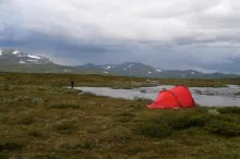 User submitted picture: On the KalfjÃ¤ll 2