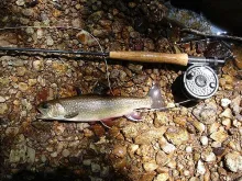 User submitted picture: The Southern Appalachian ...