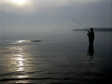 User submitted picture: Fighting in the sparse li...