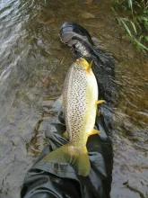 User submitted picture: It Was This Long!!