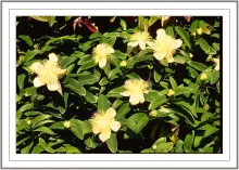 User submitted picture: camera nikonf/70, zoom ni...