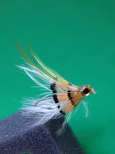 User submitted picture: This y is the "Golden Sa...