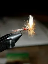 User submitted picture: #14 Royal Coachman. My se...