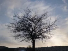 User submitted picture: In the Sunset