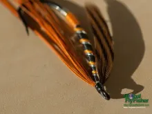 Computer screen wallpaper: Cheapskate Heron